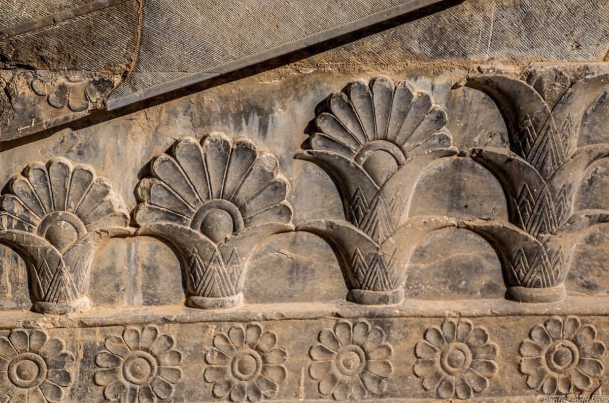 Lotus flower in Persepolis, Iran